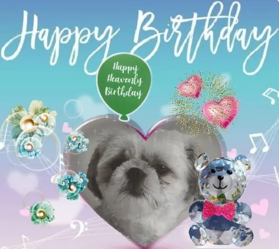 Condolence image of ❤️❤️❤️❤️❤️❤️❤️❤️❤️❤️❤️❤️