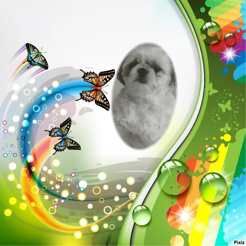 Condolence image of Tanja mit Timmy im Herzen