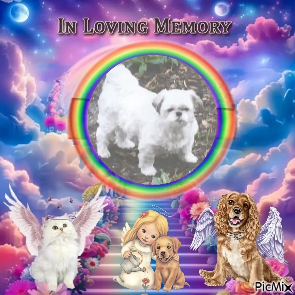 Condolence image of ❤️❤️❤️❤️❤️❤️❤️❤️❤️❤️❤️❤️