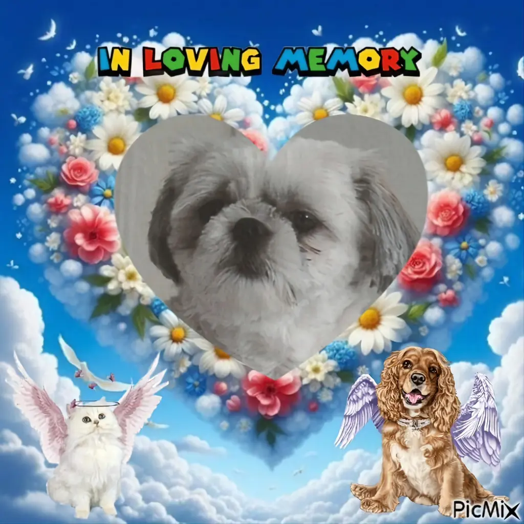 Condolence image of ❤️❤️❤️❤️❤️❤️❤️❤️❤️❤️❤️❤️