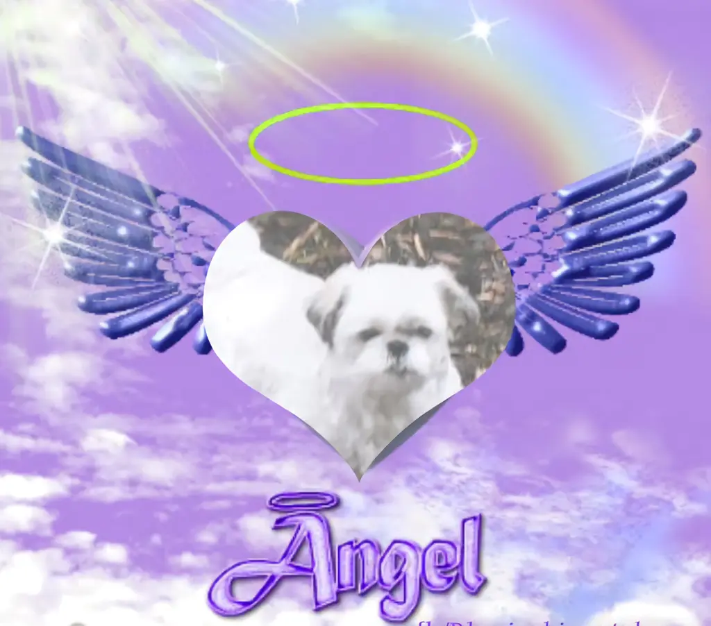 Condolence image of ❤️❤️❤️❤️❤️❤️❤️❤️❤️❤️❤️❤️