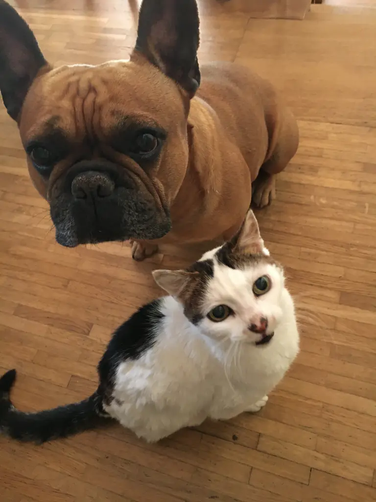 Image from Lucy