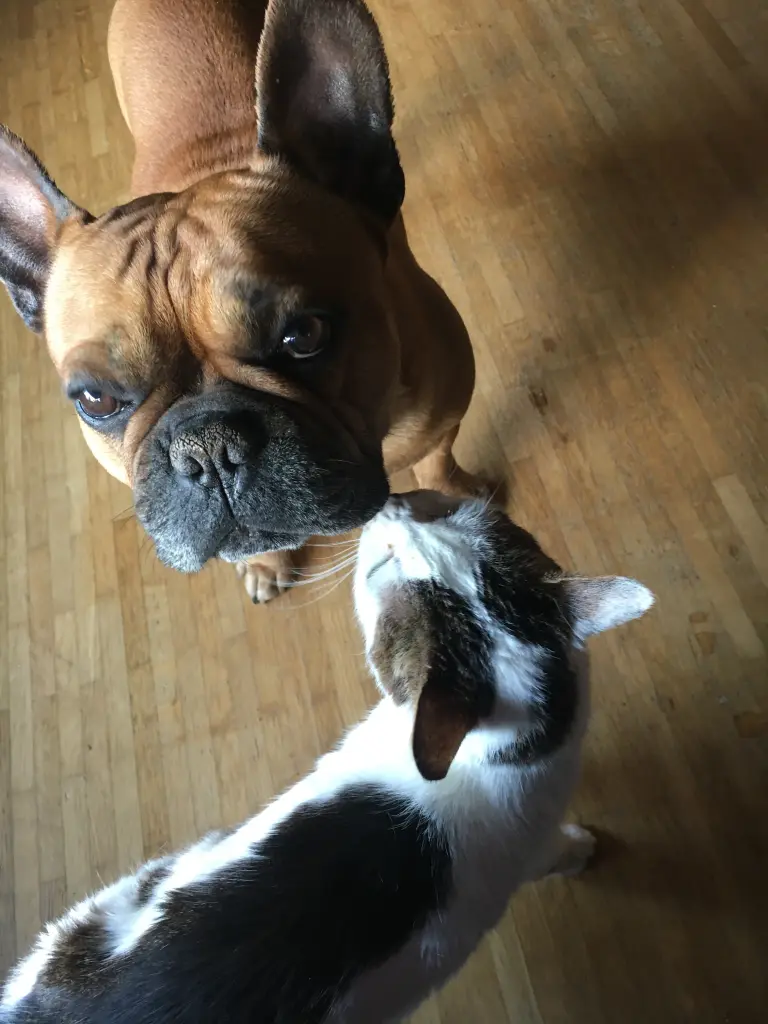Image from Lucy