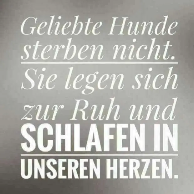 Condolence image of Sabine mit Luna im Herzen