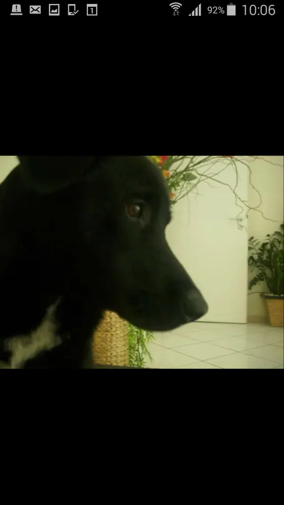 Condolence image of yesim Spies