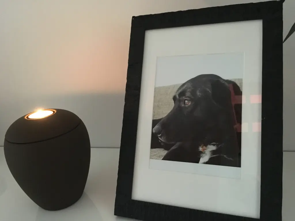 Condolence image of Nurcan