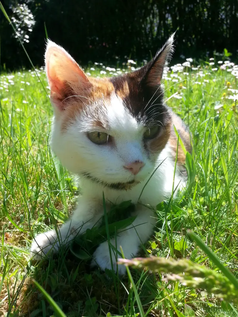 Condolence image of Heinz