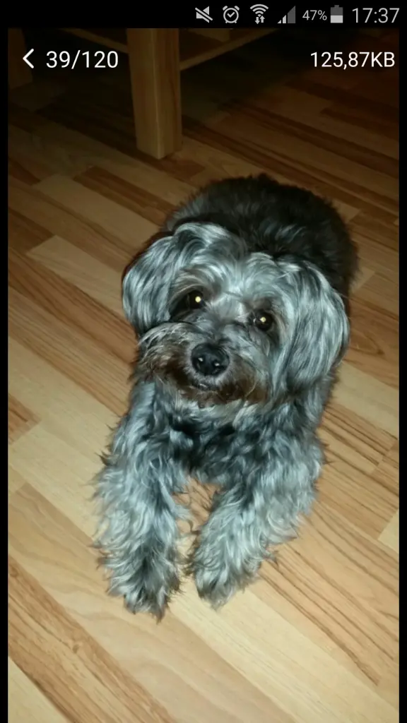 Condolence image of Tanja