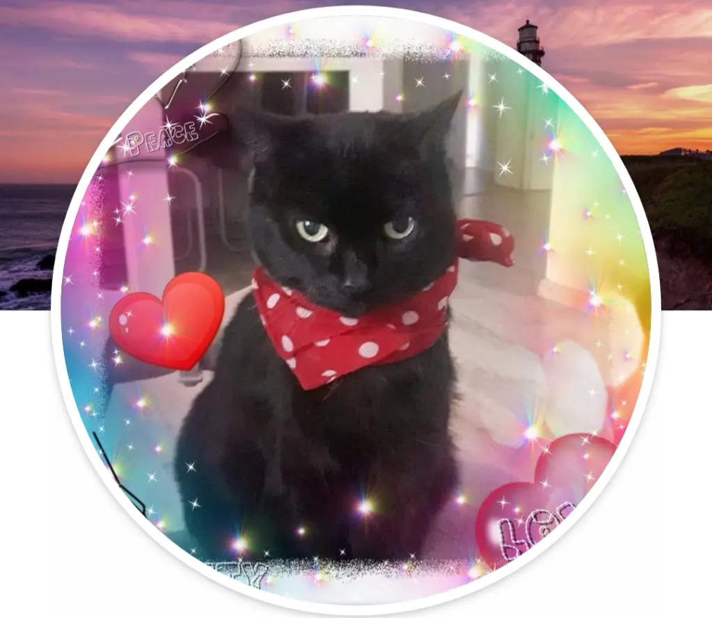 Image from Jeanny