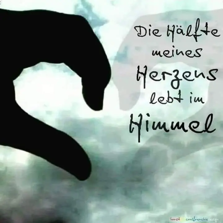 Condolence image of Sabine mit Luna & Milo tief im Herzen 