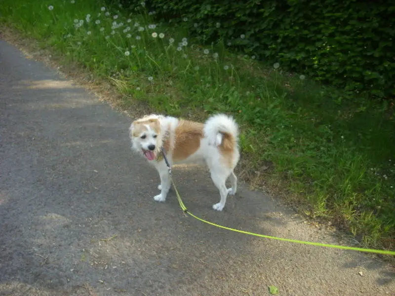 Condolence image of Reinhold und Frau sowie von Tommy im Regenbogenland