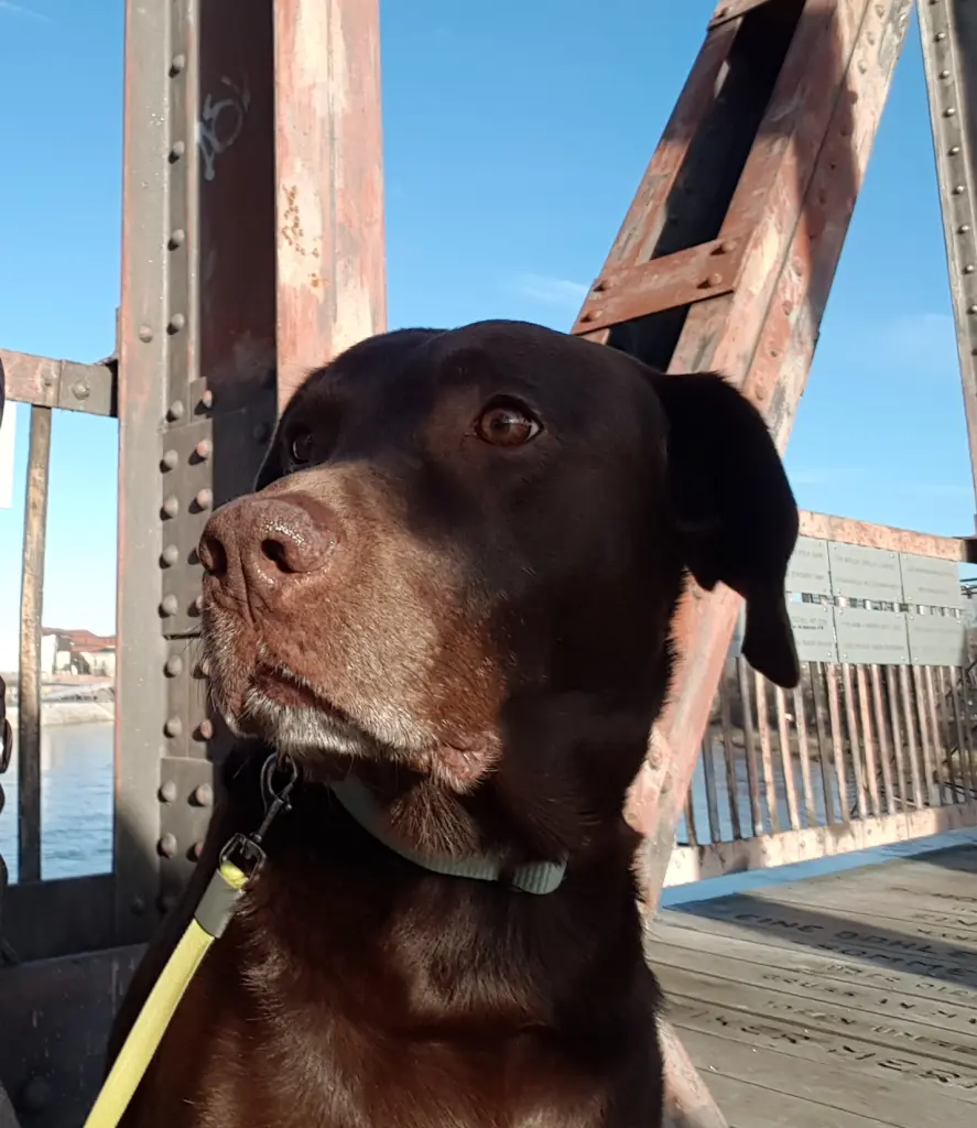 Condolence image of Silvana 