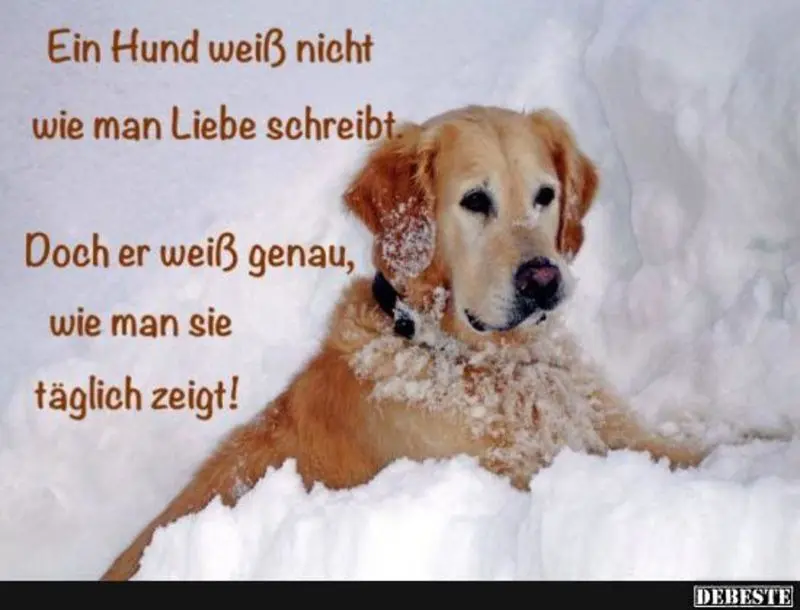 Condolence image of Jutta mit Flash im Herzen ( 17.01.20)