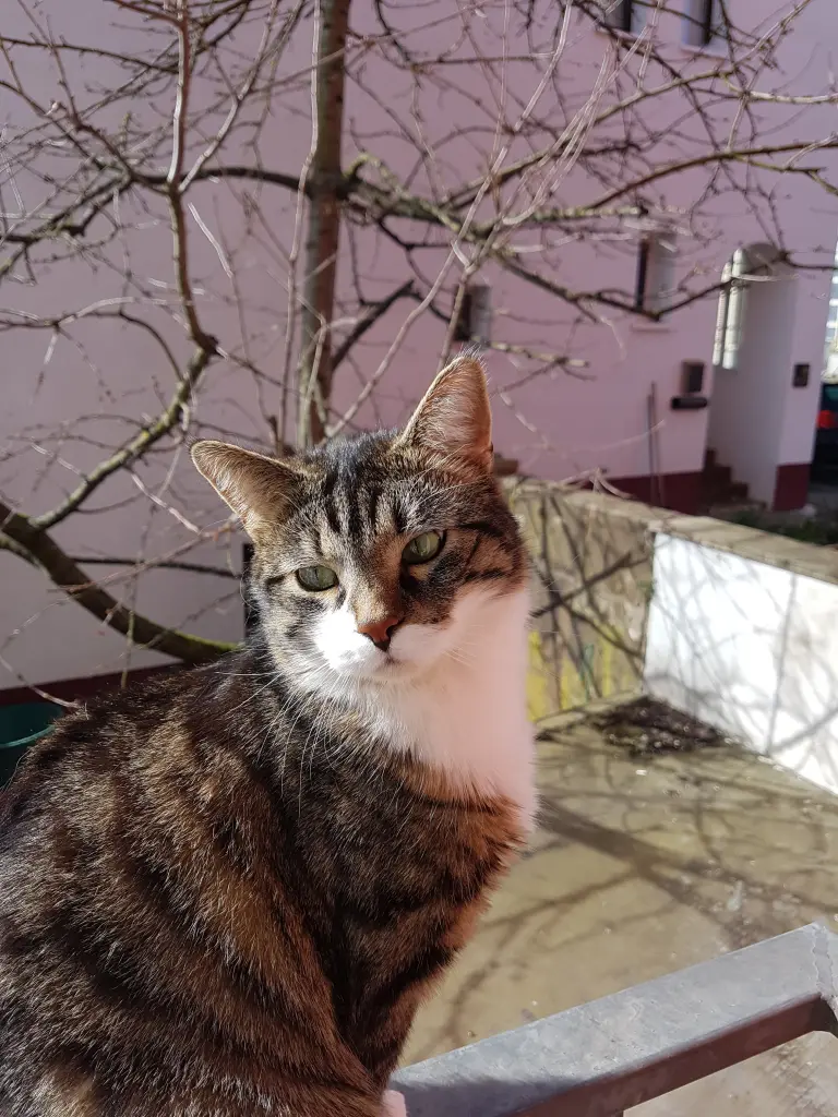 Image from Fynn