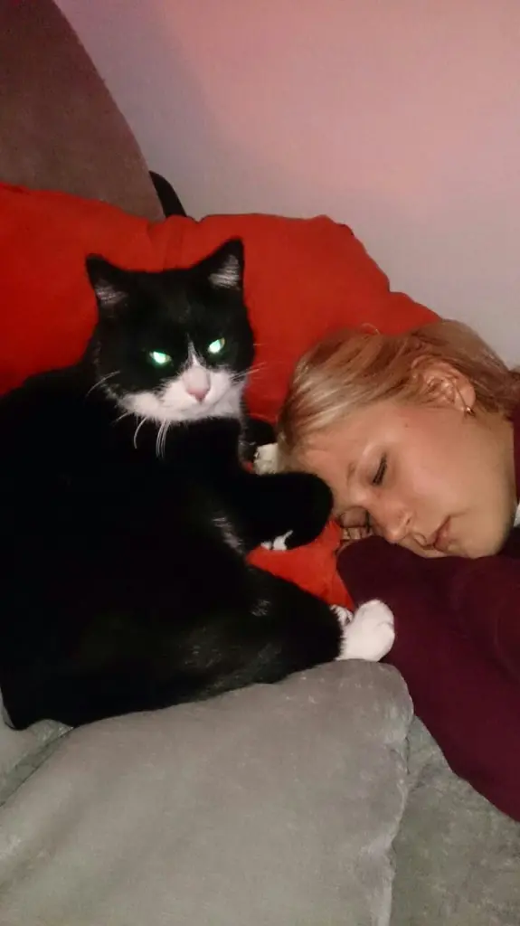Bild von Felix