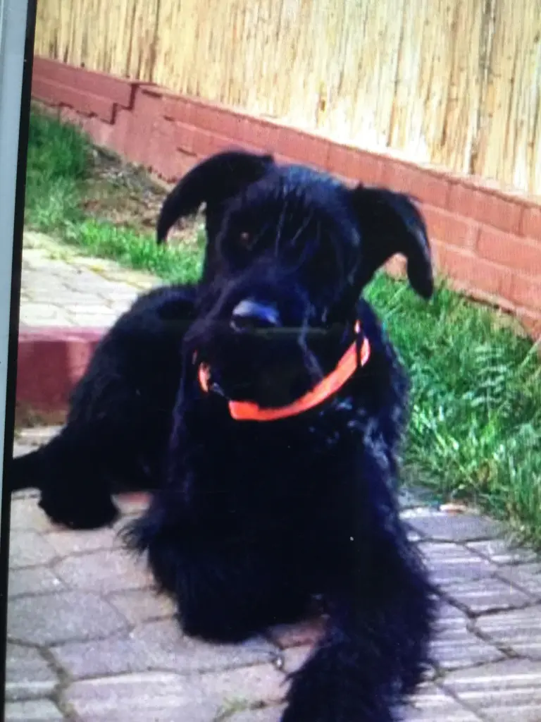 Andachtsbild von Ute mit Packo im Herzen