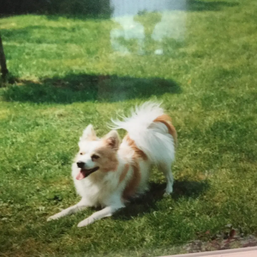 Andachtsbild von Gerda mit Moritz