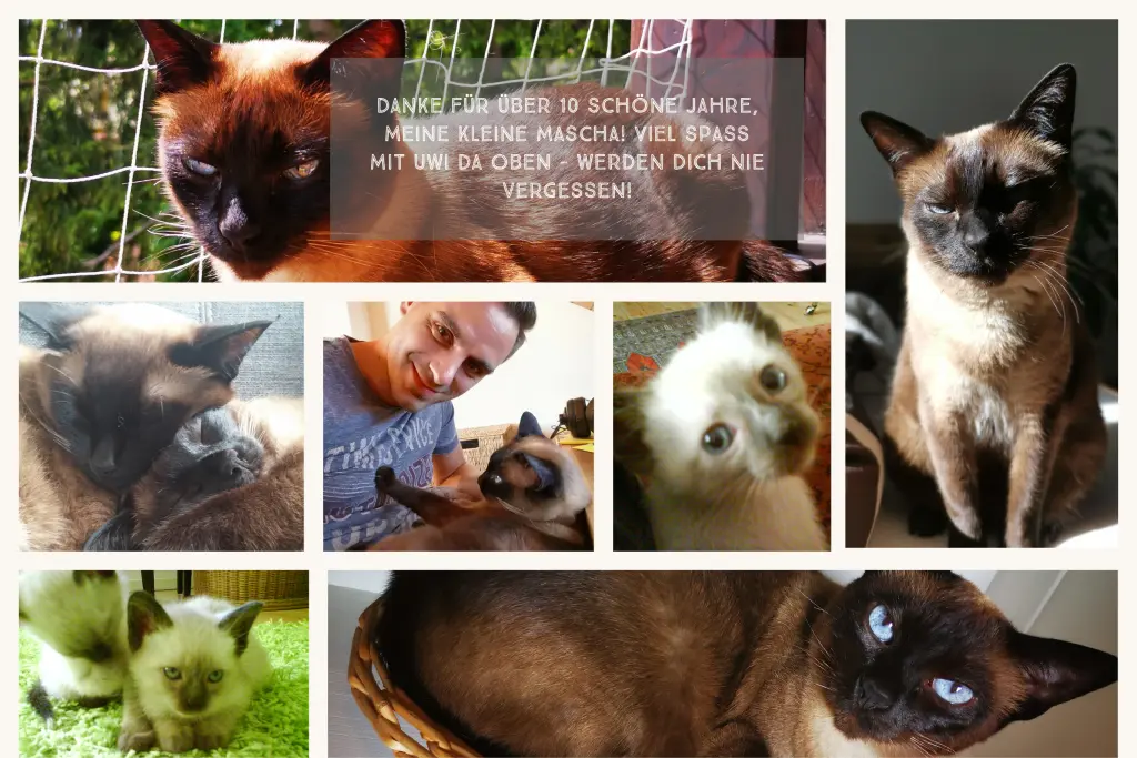 Image from Mascha