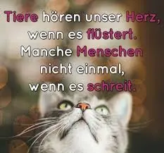 Condolence image of Jutta mit Flash im Herzen ( 17.01.20)