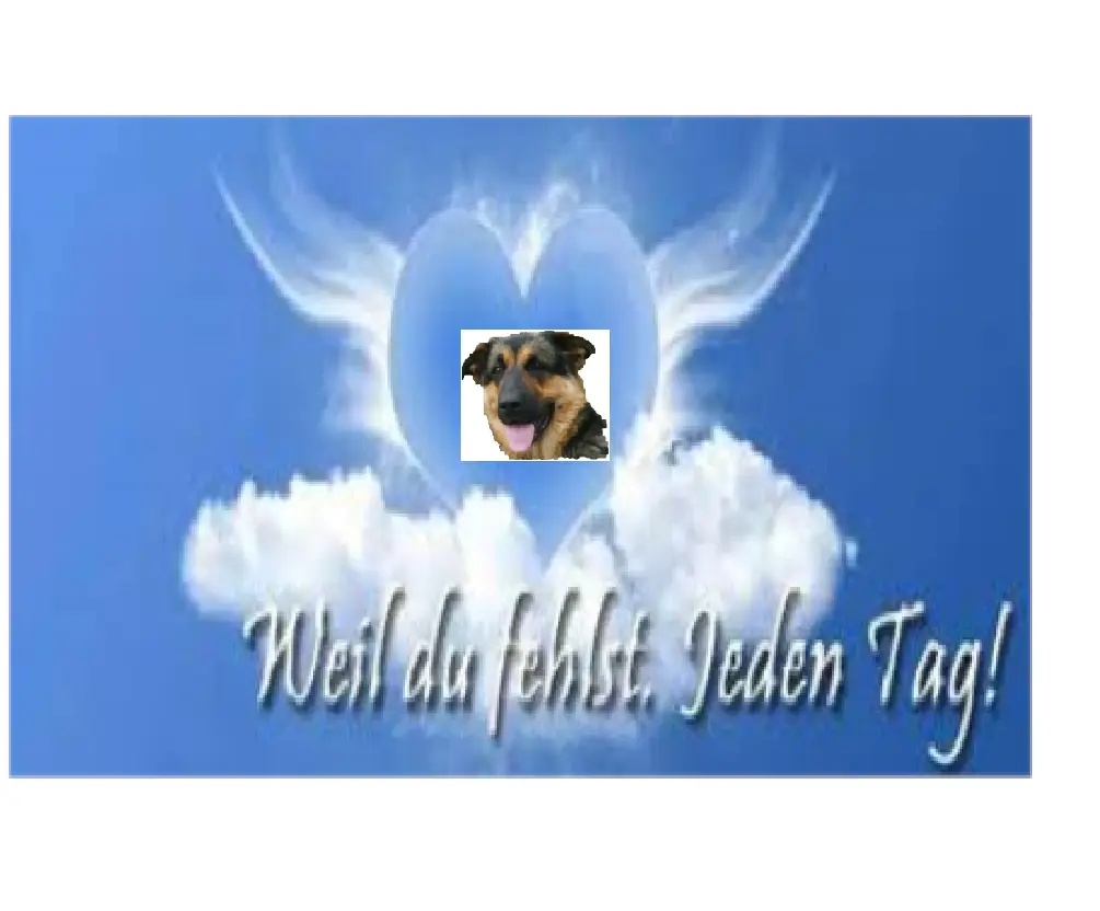 Condolence image of Unbekannt