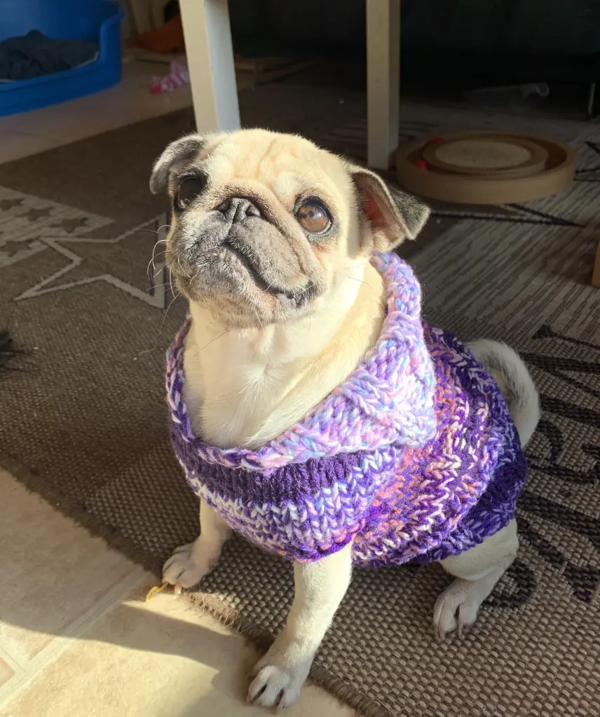 Image from Nelly