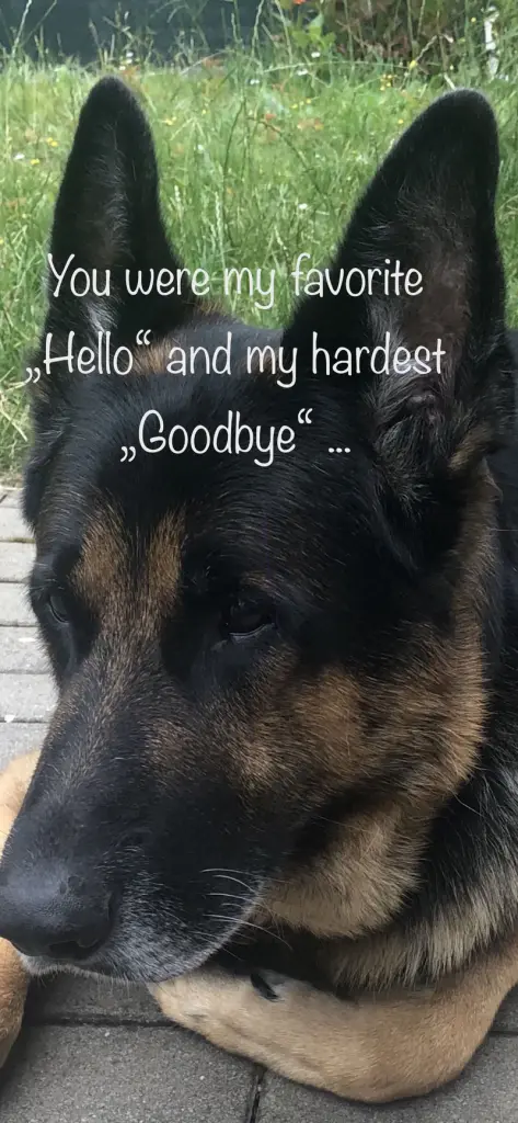 Condolence image of Mareike mit Neo ganz tief im Herzen