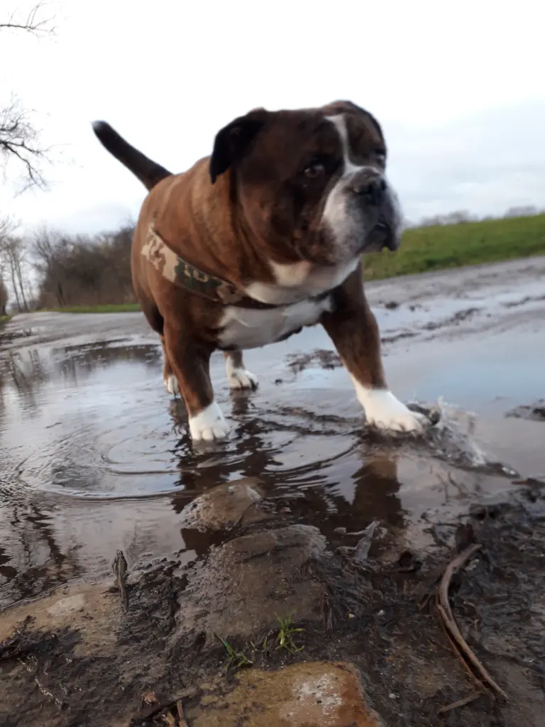 Andachtsbild von Angelika Braukmüller