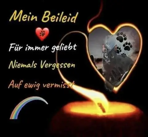 Condolence image of Andrea mit Minki im ❤ gest.19.10.20