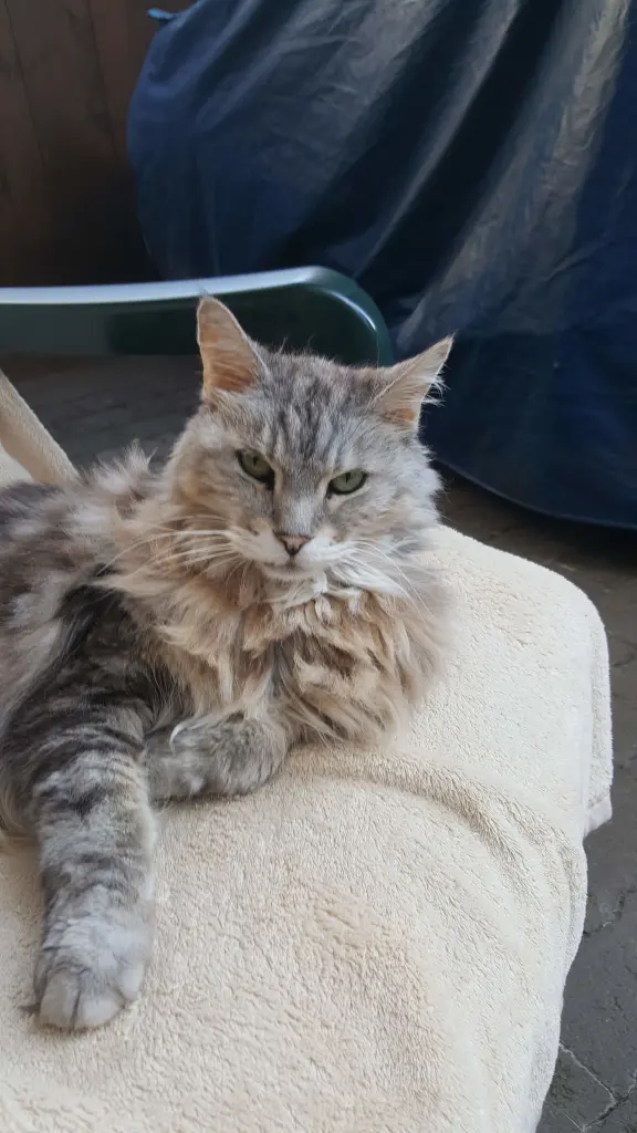 Andachtsbild von Barbara