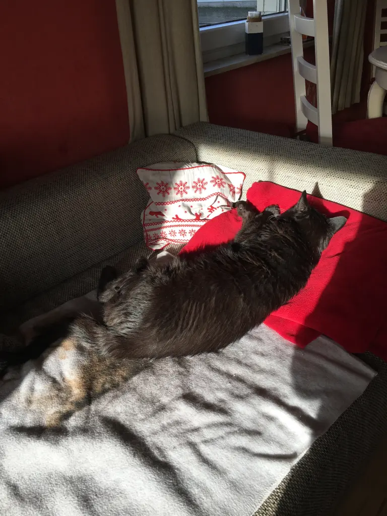 Image from Tiggi