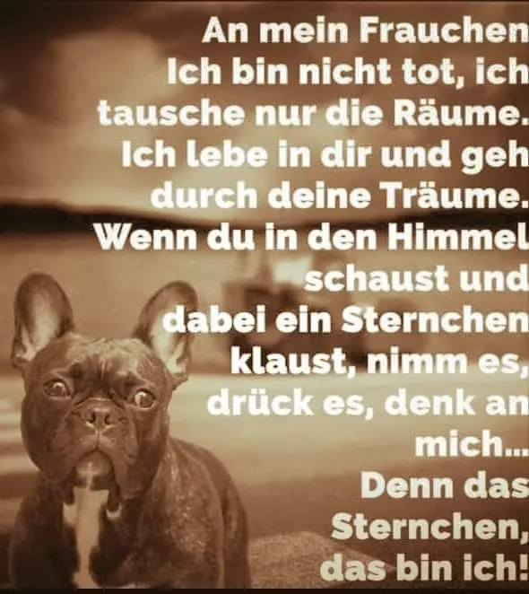 Andachtsbild von Stephanie