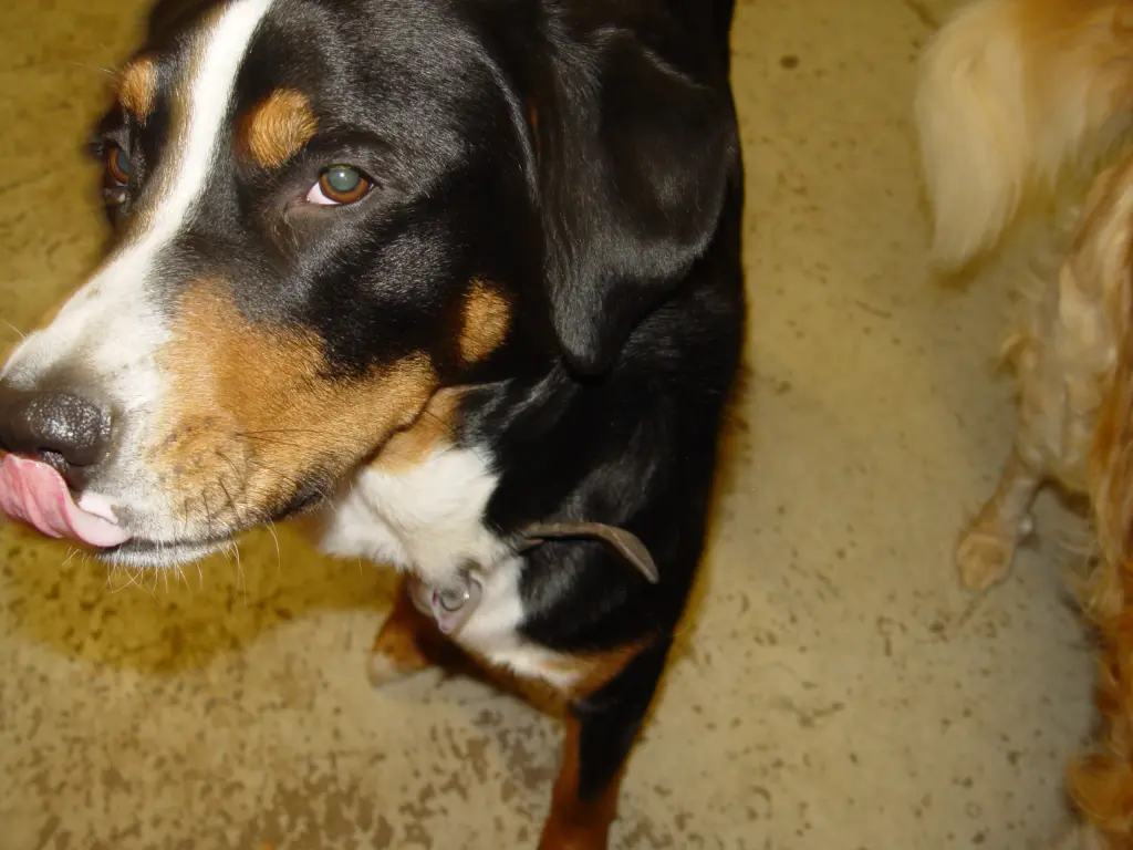 Bild von Berry