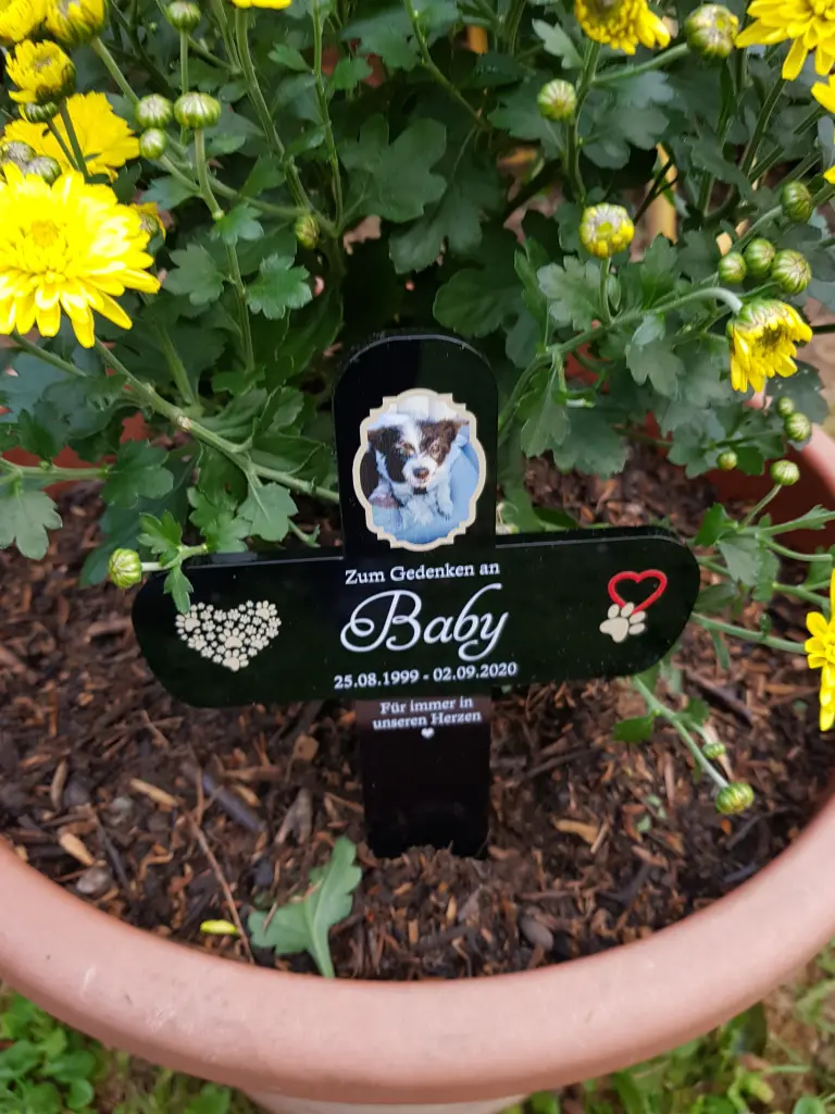 Image from Baby