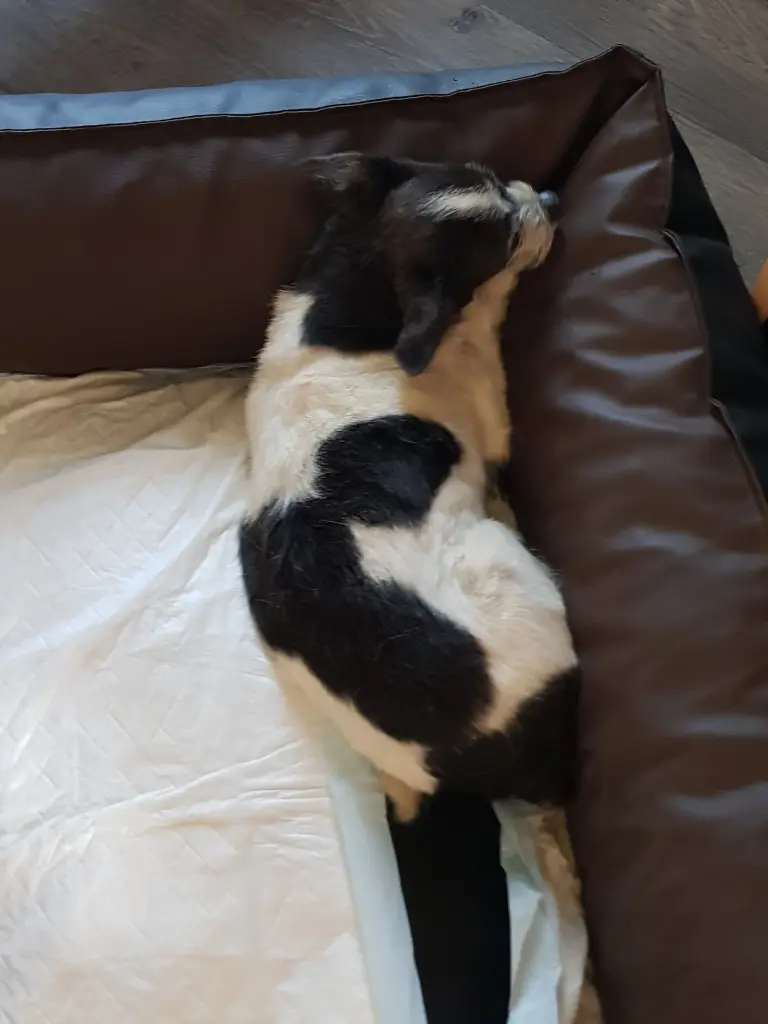 Image from Baby