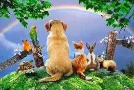 Andachtsbild von Gisela