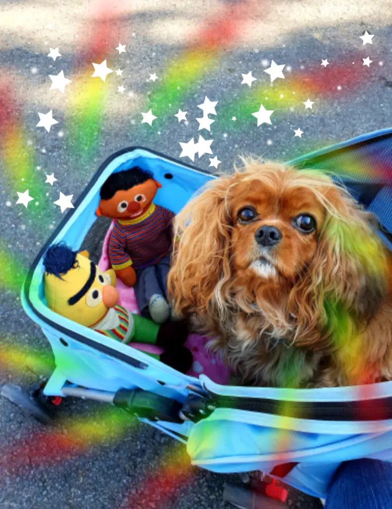 Andachtsbild von Marion mit Ruby im Herzen