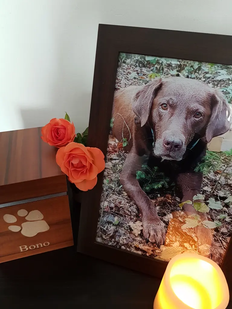 Condolence image of Silvana