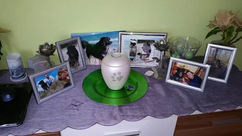 Condolence image of Nadine