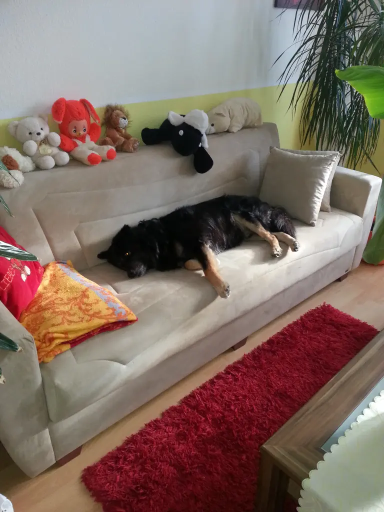 Image from Teddy