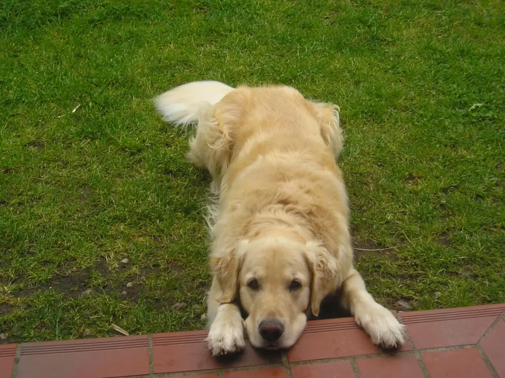 Condolence image of Jürgen