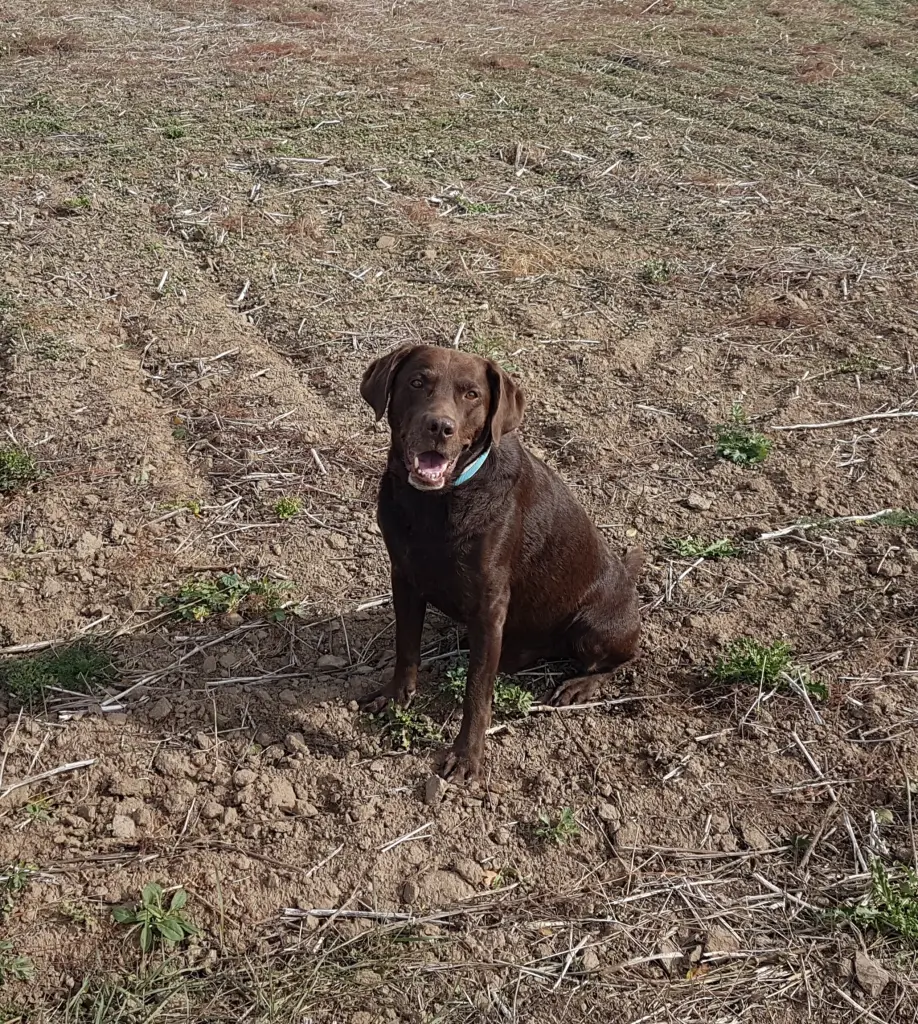 Condolence image of Silvana