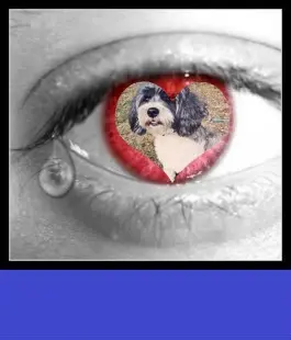 Condolence image of ❤️❤️❤️
