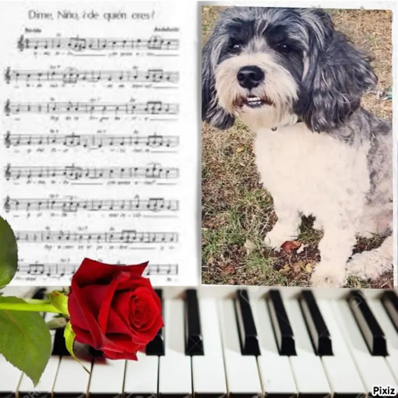 Condolence image of ❤️❤️❤️❤️❤️❤️❤️❤️❤️❤️❤️❤️❤️❤️