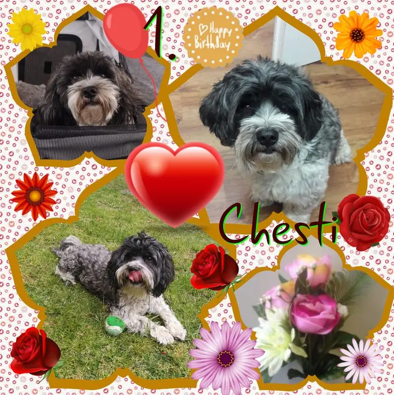 Condolence image of ❤Eike und Edeltraud mit unseren sieben Sternchen tief im Herzen ❤ ❤ ❤ ❤ ❤ ❤ ❤