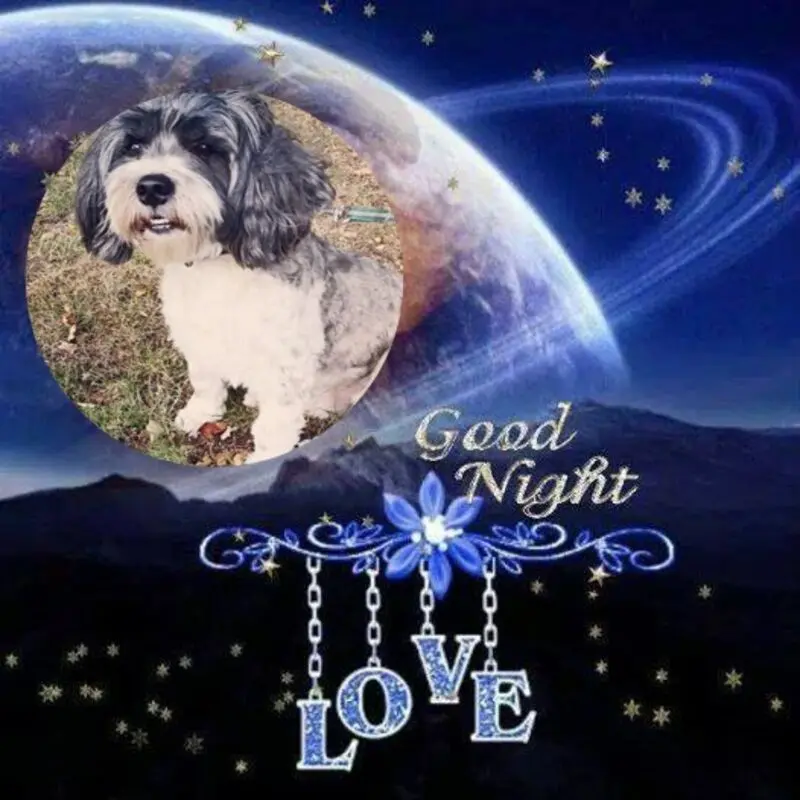 Condolence image of Guten Abend❤️❤️❤️