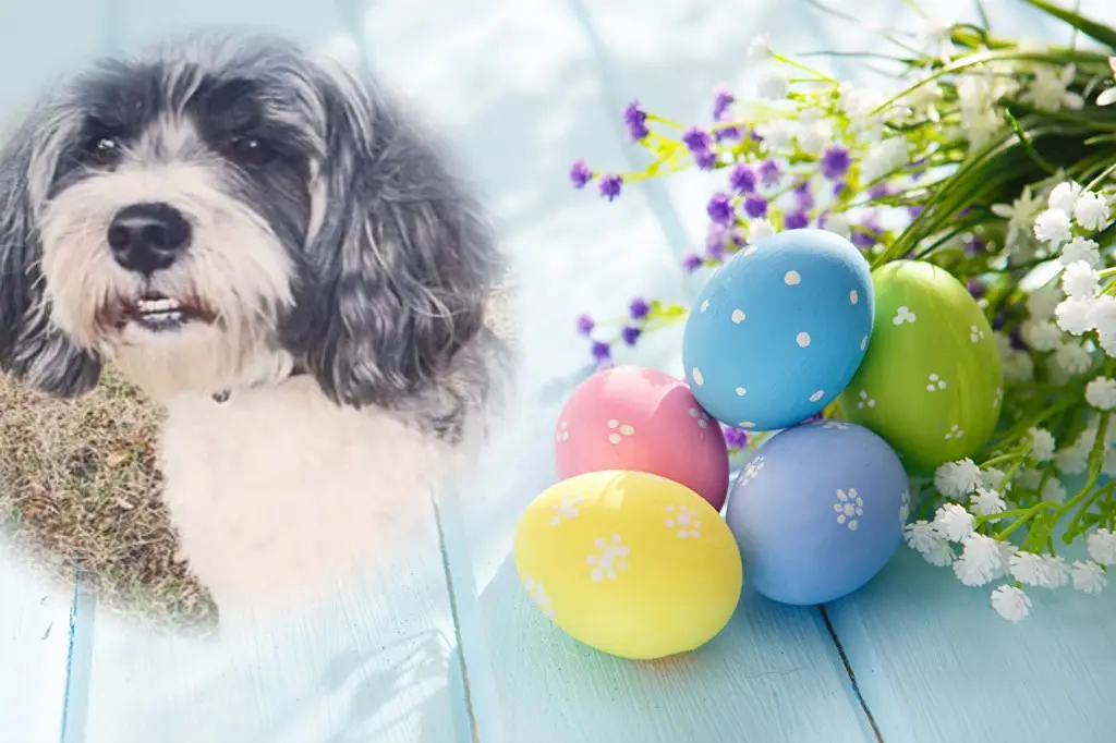 Condolence image of Frohe❤️❤️❤️Ostern❤️