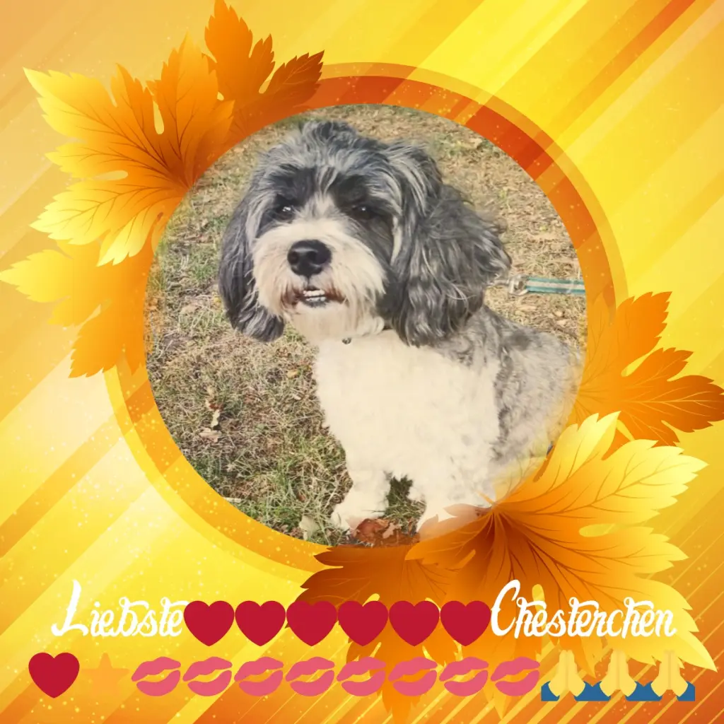 Condolence image of Sonntags❤️Rosenchen❤️❤️❤️❤️❤️❤️