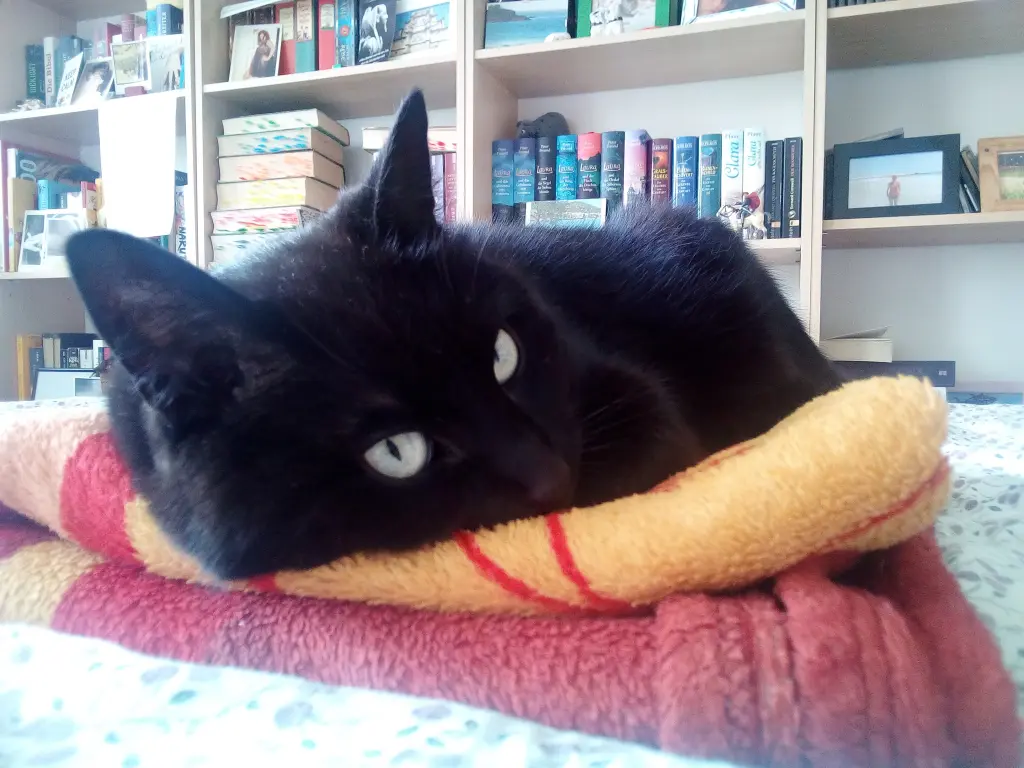 Andachtsbild von Tanja mit Freddy