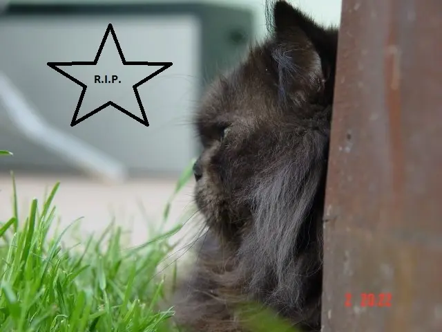 Bild von Baby