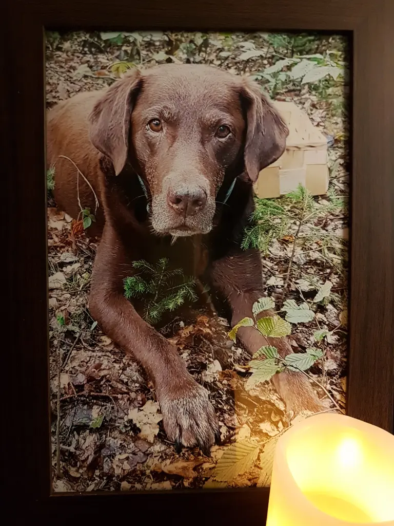 Condolence image of Silvana